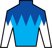 Admire Daytona silks