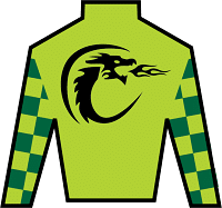 Flying Mohawk silks