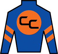 Neoequos silks