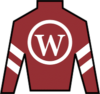 Tiztastic silks