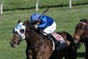 Twin Spires Turf Sprint Stakes 2025 preview