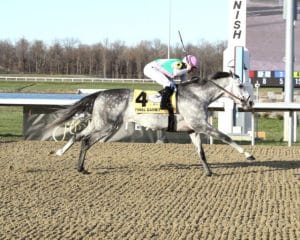Belmont Derby 2025 features Final Gambit