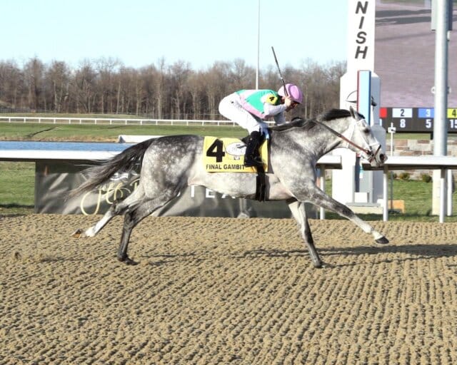 Belmont Derby 2025 features Final Gambit