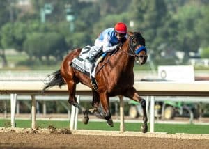 Gallant Bob Stakes 2025 preview featuring Barnes