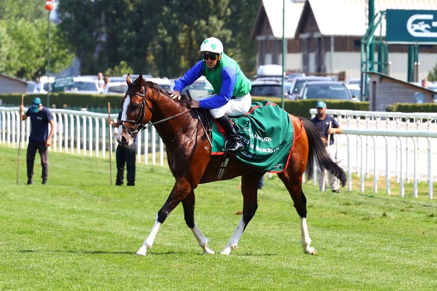 Coolmore Turf Mile 2025 preview includes Diego Velazquez