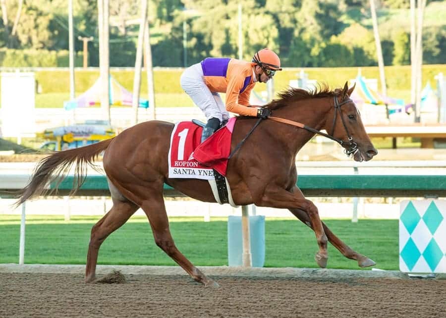 Breeders Cup Sprint 2025 preview includes Kopion