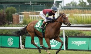 Queen Elizabeth II Challenge Cup 2025 preview includes Lush Lips