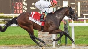 Perryville Stakes 2025 preview includes Owen Almighty
