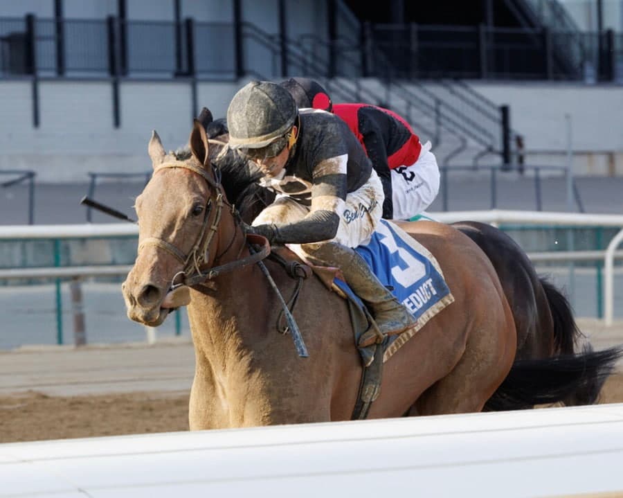 Mother Goose Stakes 2025 preview features Drexel Hill